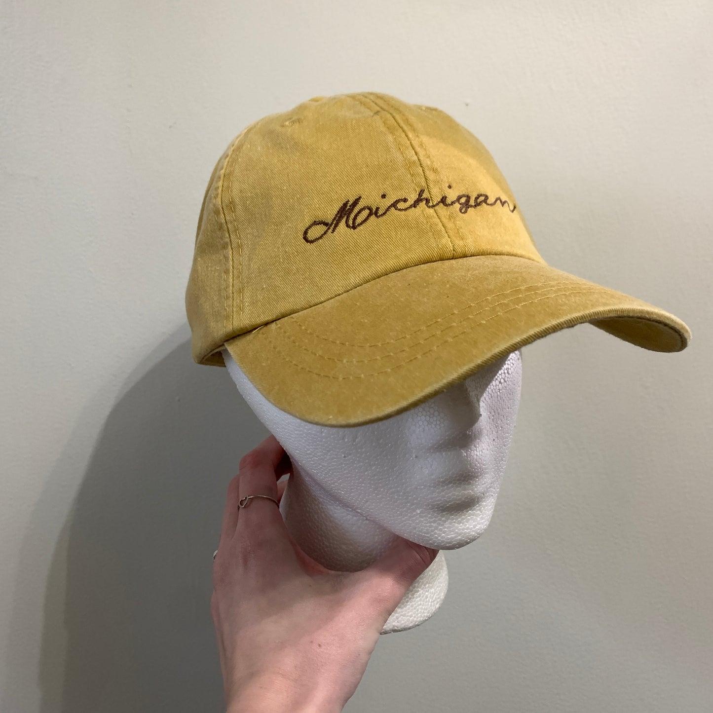 Michigan Baseball Hats
