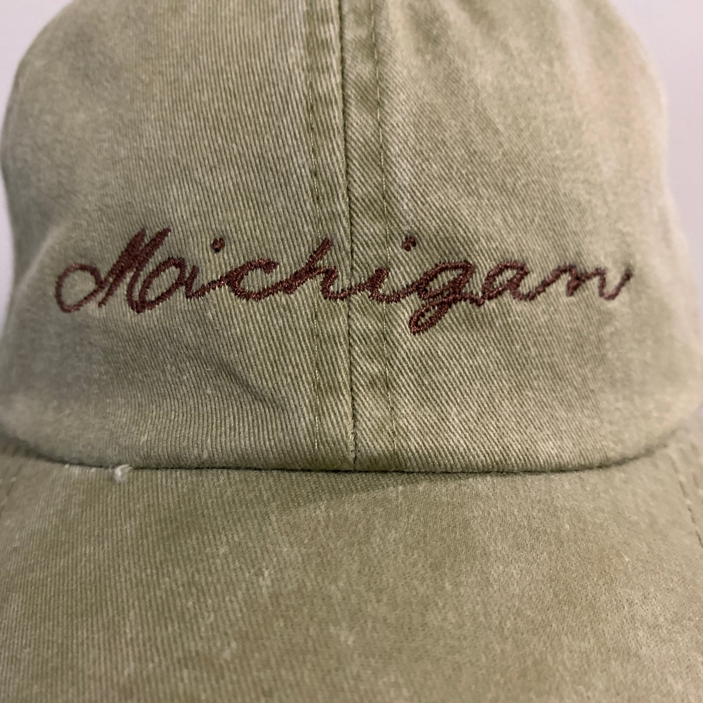 Michigan Baseball Hats