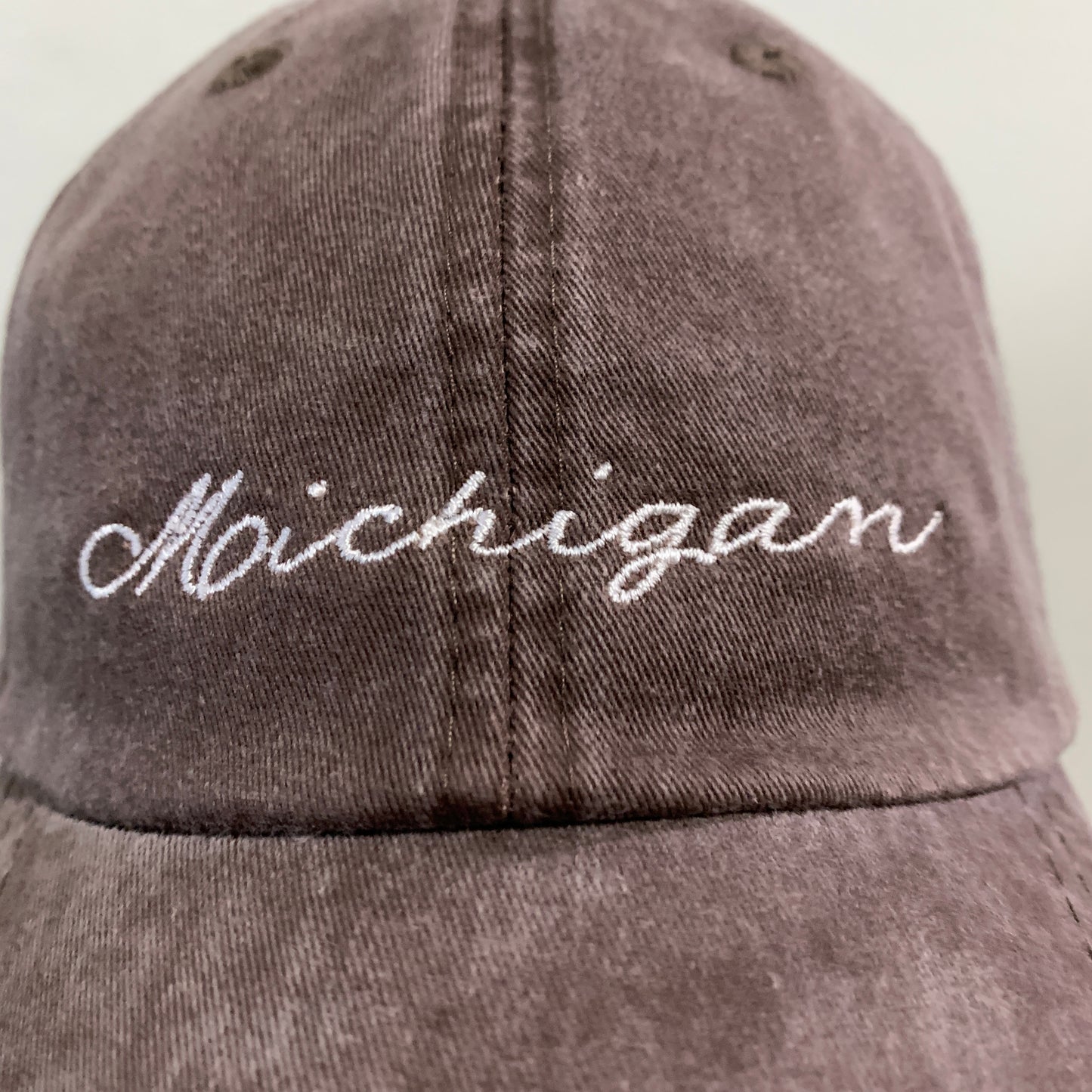 Michigan Baseball Hats