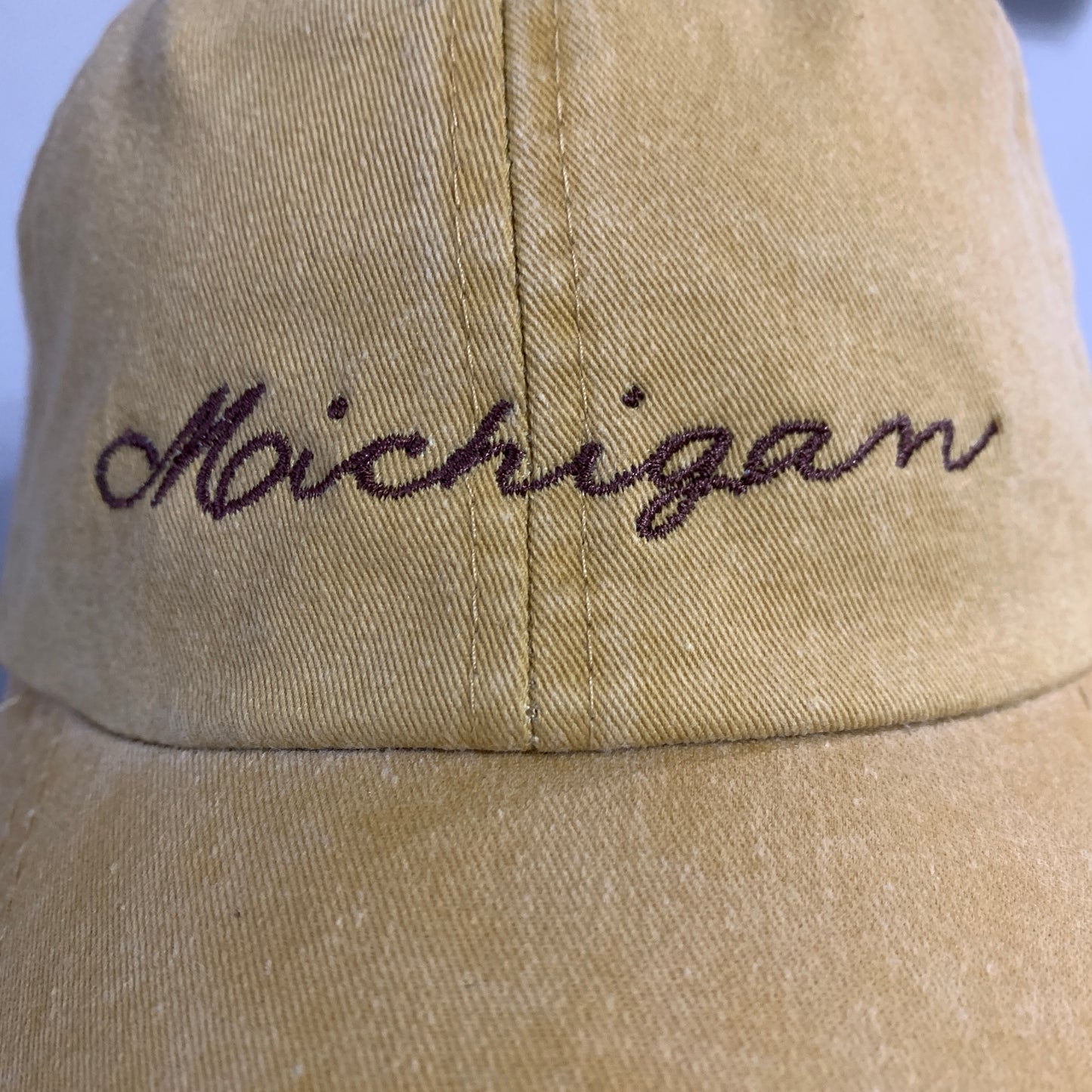 Michigan Baseball Hats