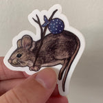 Load image into Gallery viewer, Small Illustrated Nature Stickers
