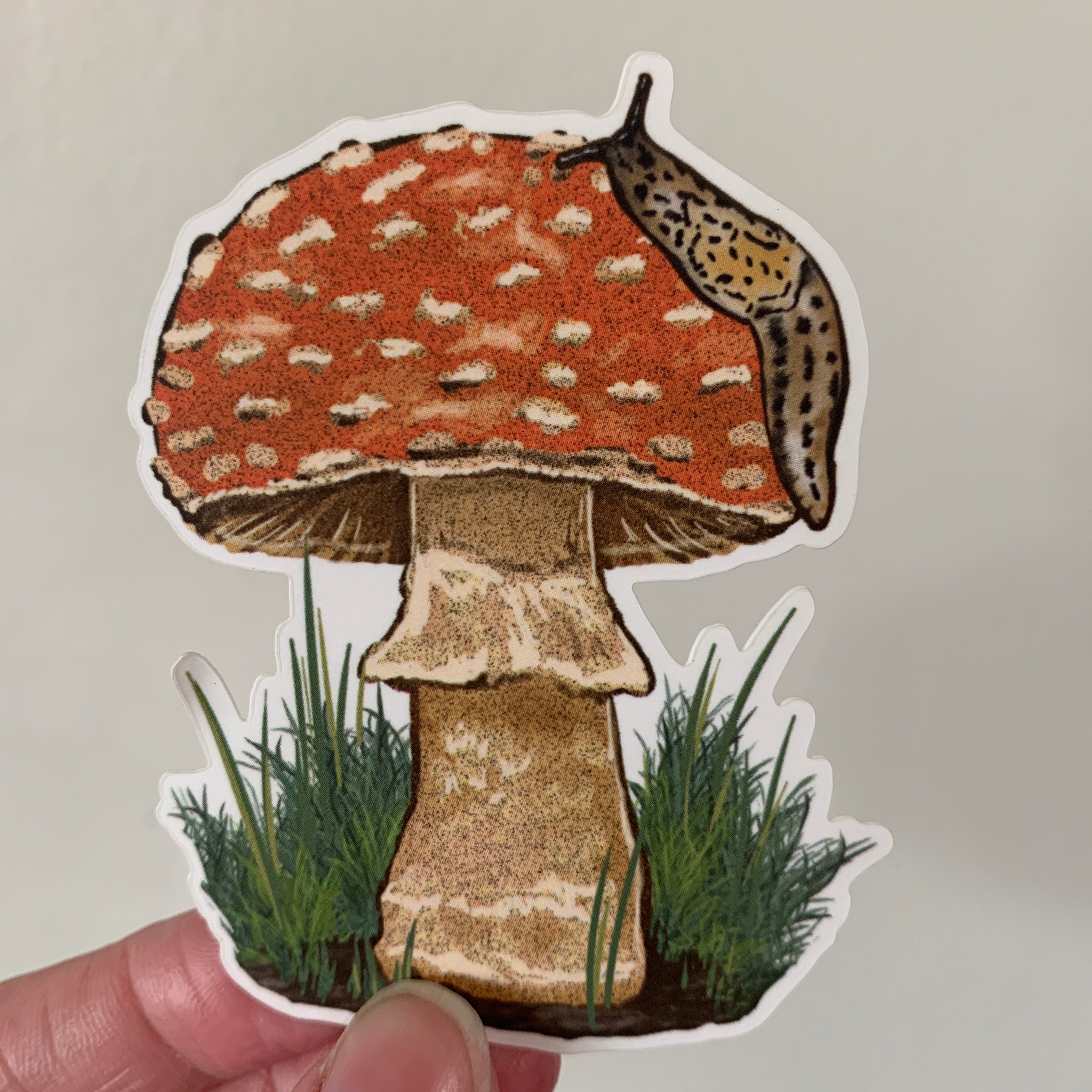 Illustrated Nature Stickers