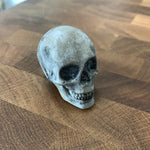 Load image into Gallery viewer, Concrete Skull
