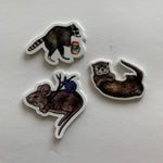 Load image into Gallery viewer, Small Illustrated Nature Stickers
